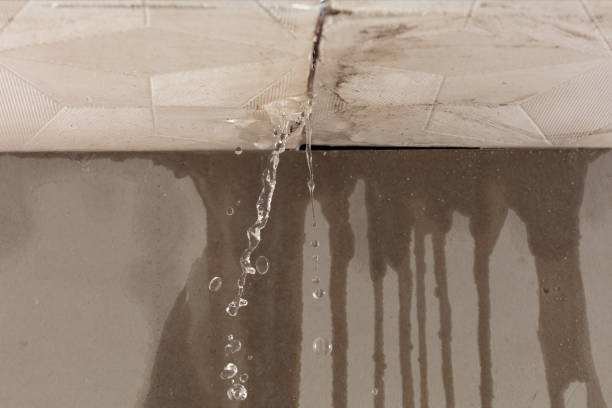 Professional Water Damage Repair technician working in Chatham, VA